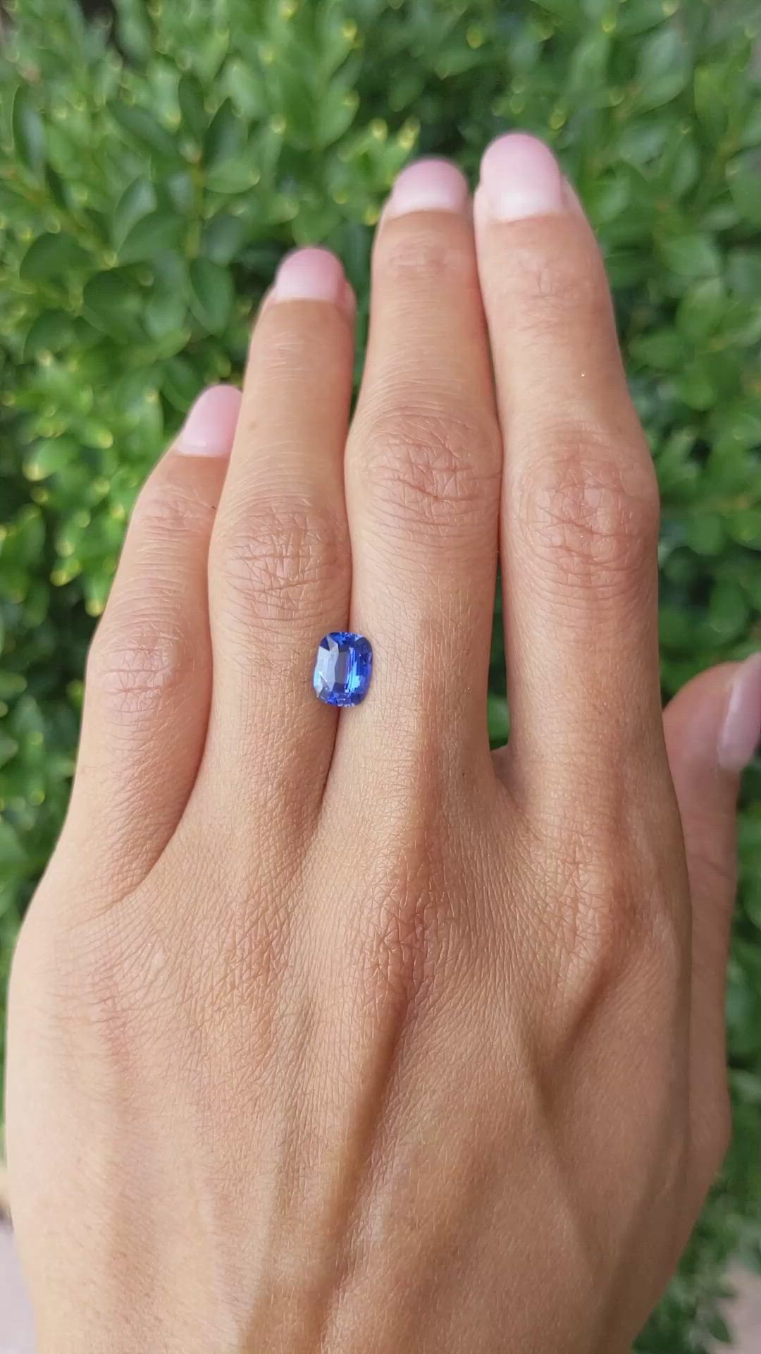 1.55 Ct. Blue Sapphire from Ceylon (Sri Lanka) Size Video