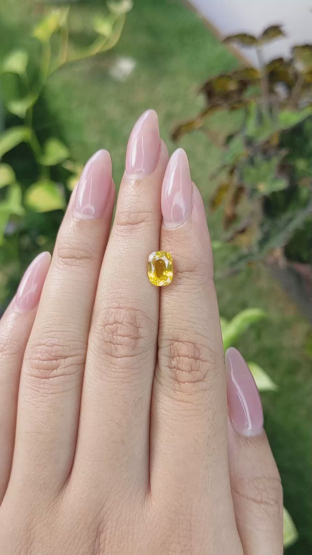 2.13 Ct. Yellow Sapphire from Ceylon (Sri Lanka) Size Video