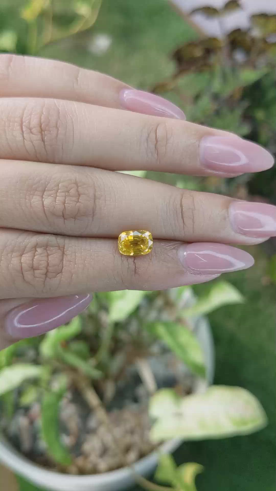 2.13 Ct. Yellow Sapphire from Ceylon (Sri Lanka) Size Video