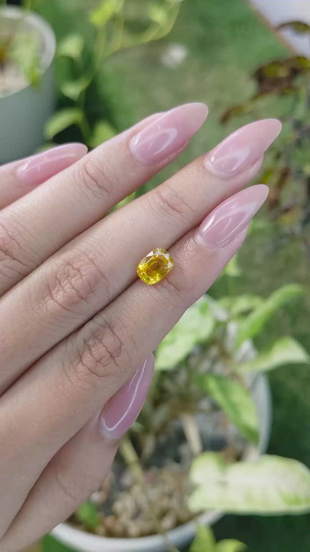 2.13 Ct. Yellow Sapphire from Ceylon (Sri Lanka) Size Video