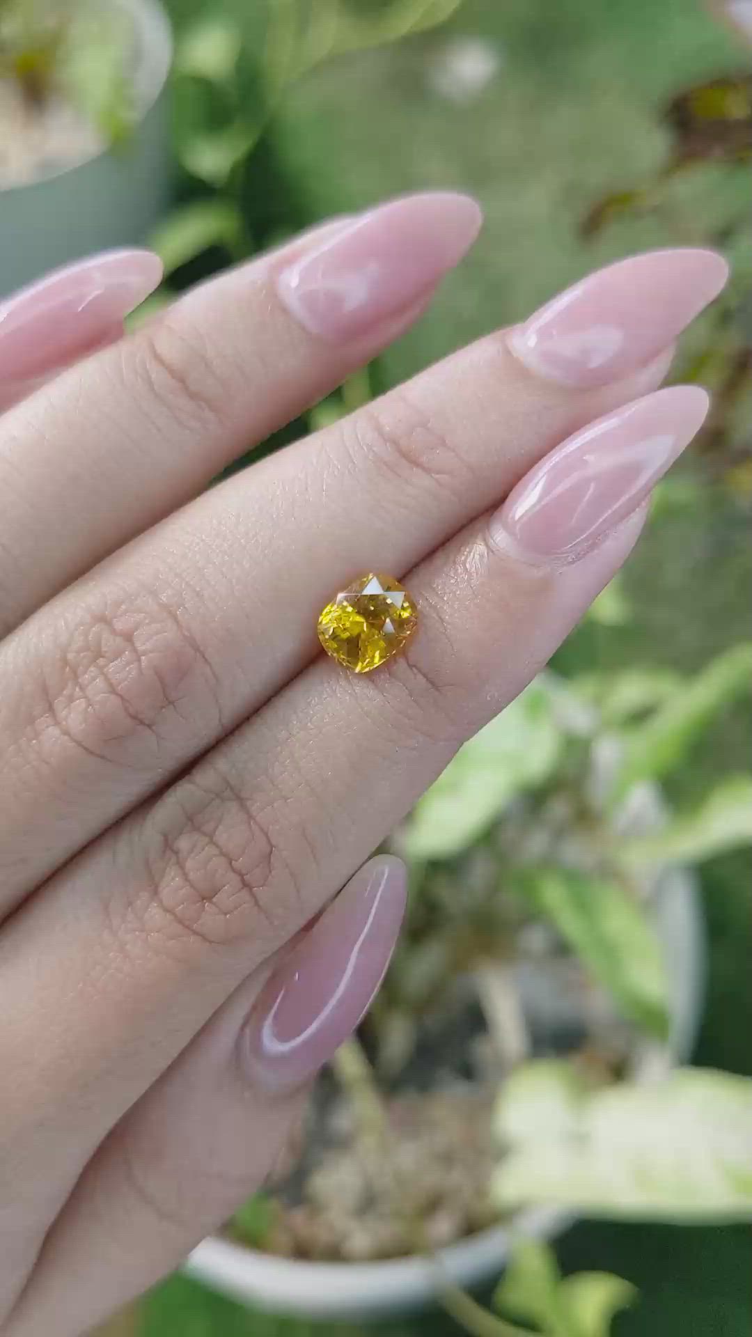 1.98 Ct. Orangish Yellow Sapphire from Ceylon (Sri Lanka) Size Video