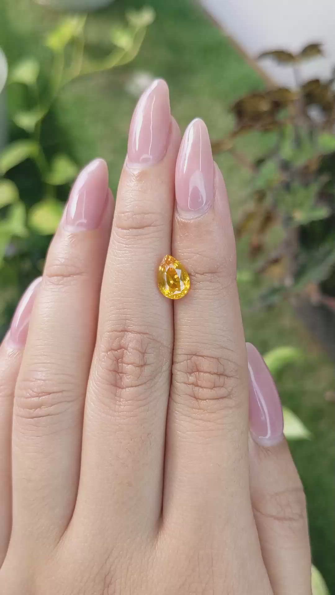 2.19 Ct. Yellowish Orange Sapphire from Ceylon (Sri Lanka) Size Video