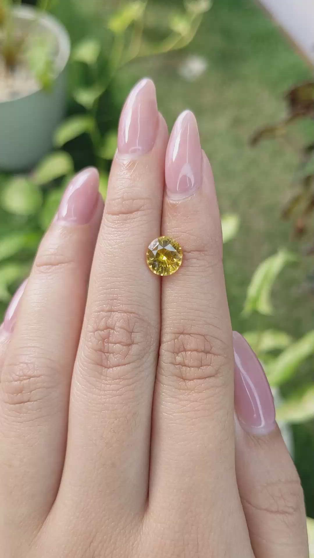2.28 Ct. Orangish Yellow Sapphire from Ceylon (Sri Lanka) Size Video