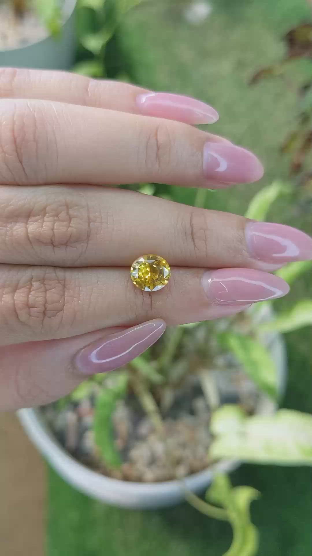 2.28 Ct. Orangish Yellow Sapphire from Ceylon (Sri Lanka) Size Video