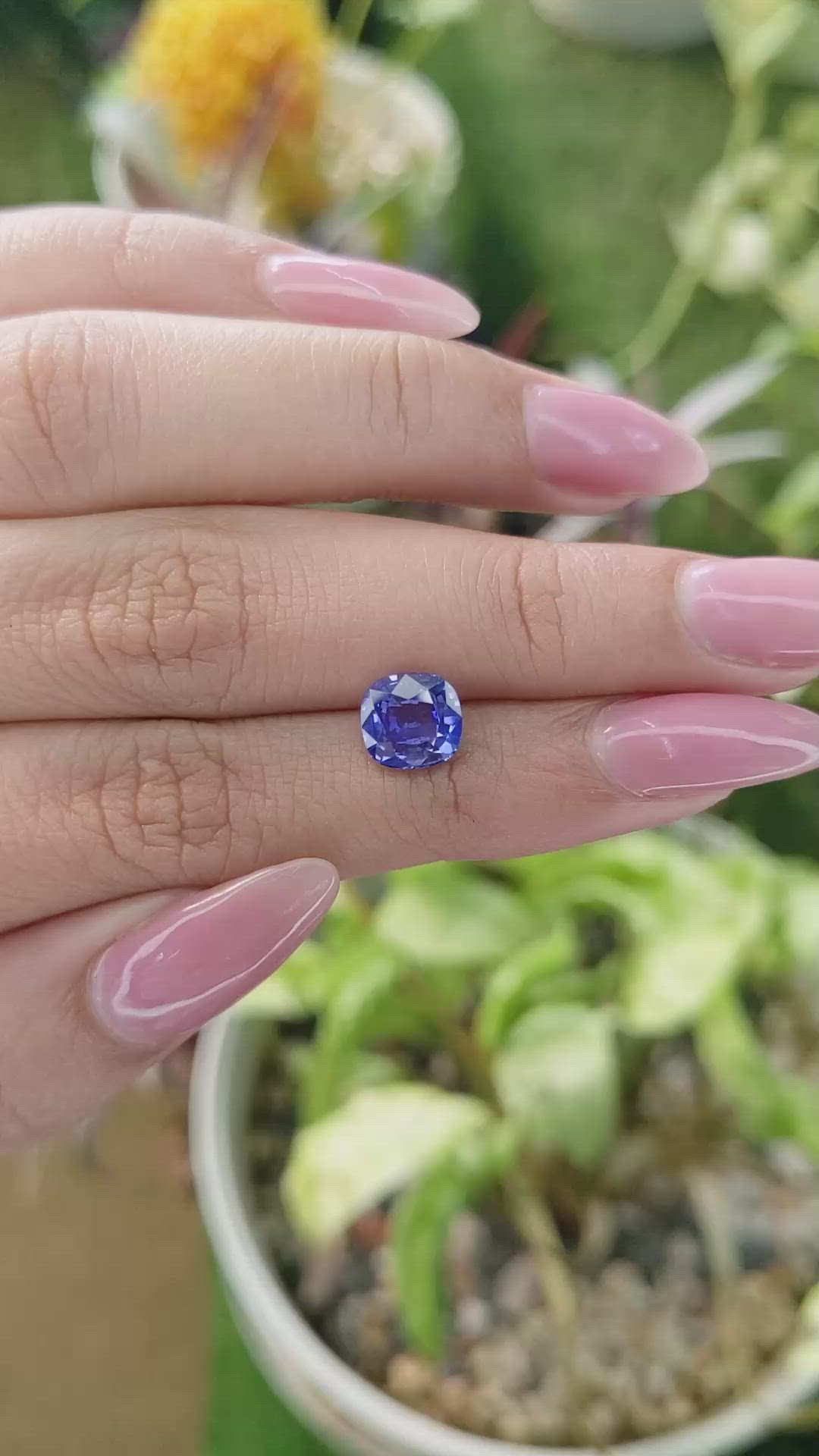 2.58 Ct. Blue Sapphire from Ceylon (Sri Lanka) Size Video