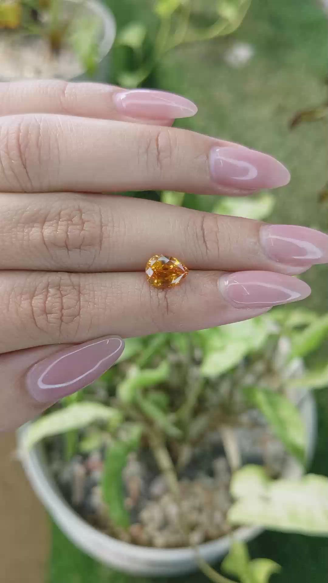 2.01 Ct. Yellowish Orange Sapphire from Ceylon (Sri Lanka) Size Video
