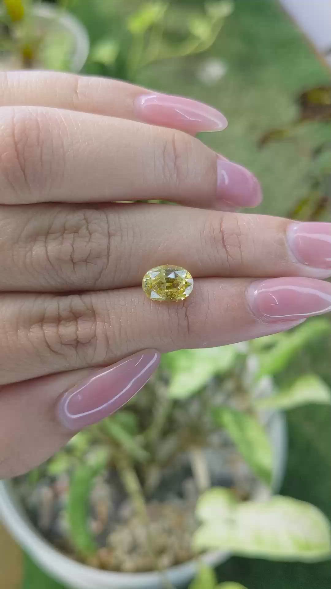 2.55 Ct. Yellow Sapphire from Ceylon (Sri Lanka) Size Video