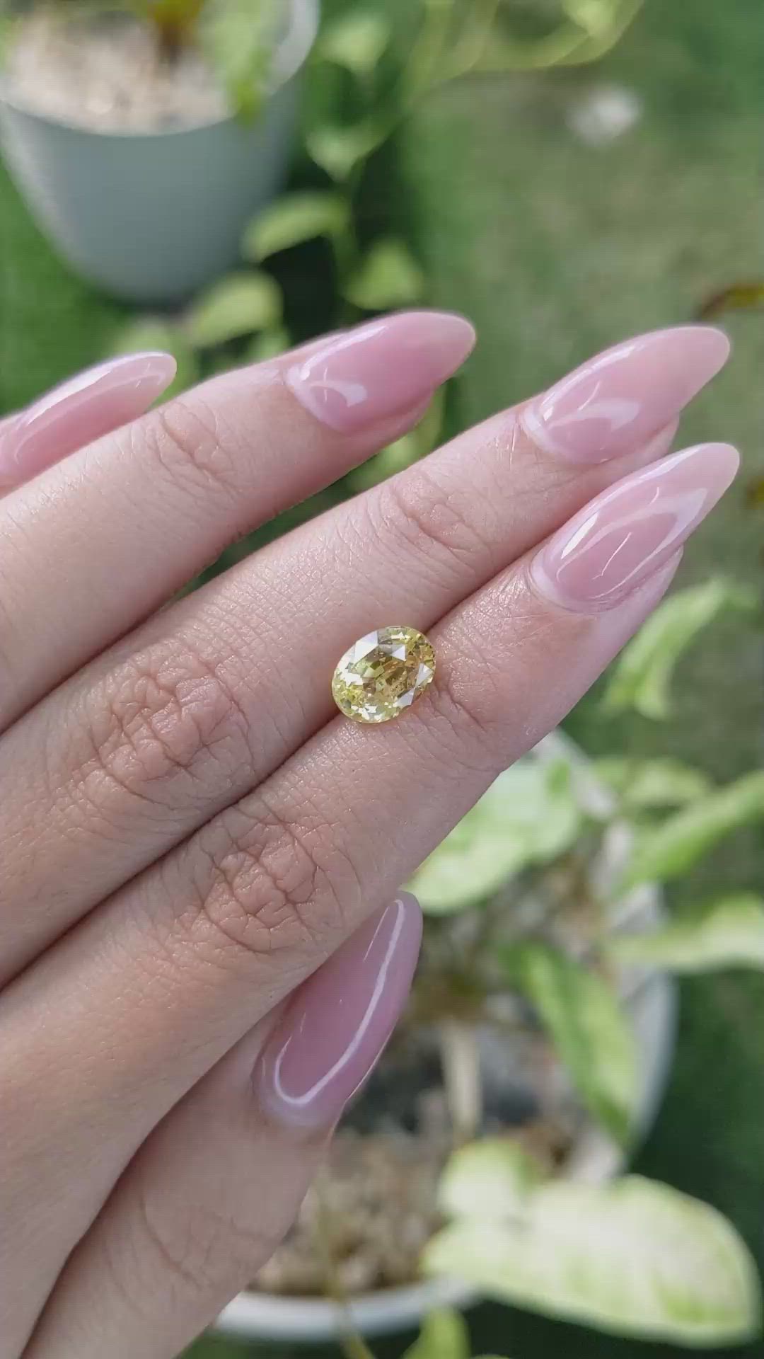 2.55 Ct. Yellow Sapphire from Ceylon (Sri Lanka) Size Video