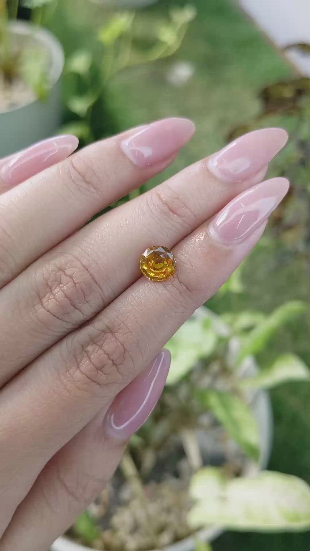 1.81 Ct. Yellowish Orange Sapphire from Ceylon (Sri Lanka) Size Video