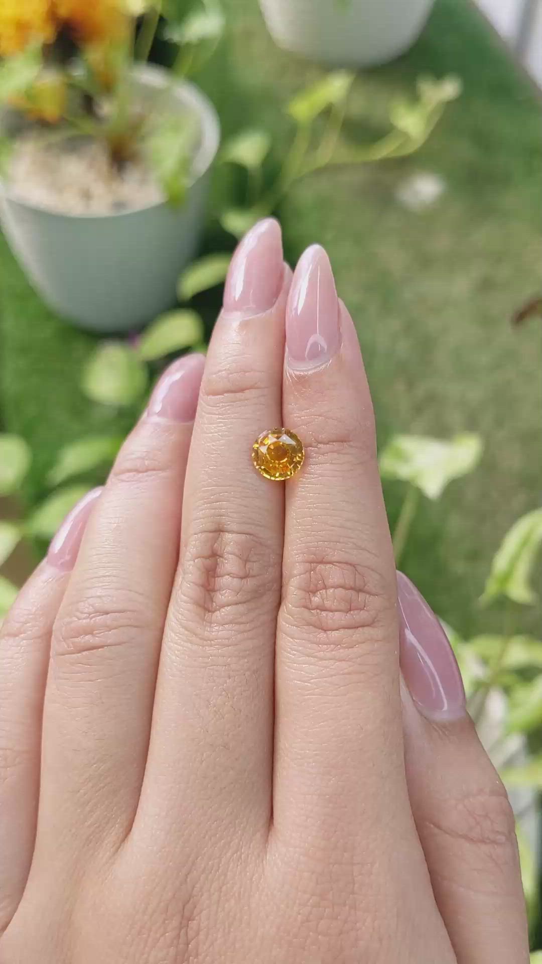 1.81 Ct. Yellowish Orange Sapphire from Ceylon (Sri Lanka) Size Video