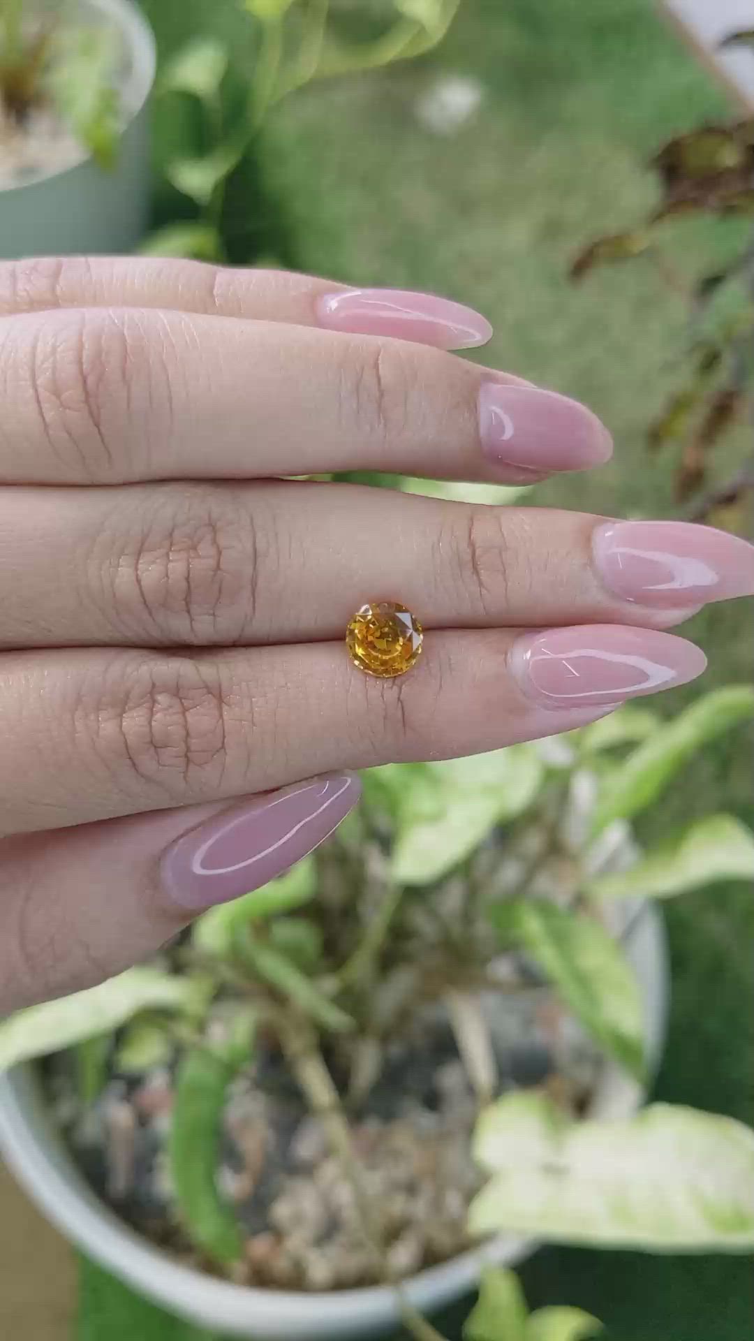 1.81 Ct. Yellowish Orange Sapphire from Ceylon (Sri Lanka) Size Video
