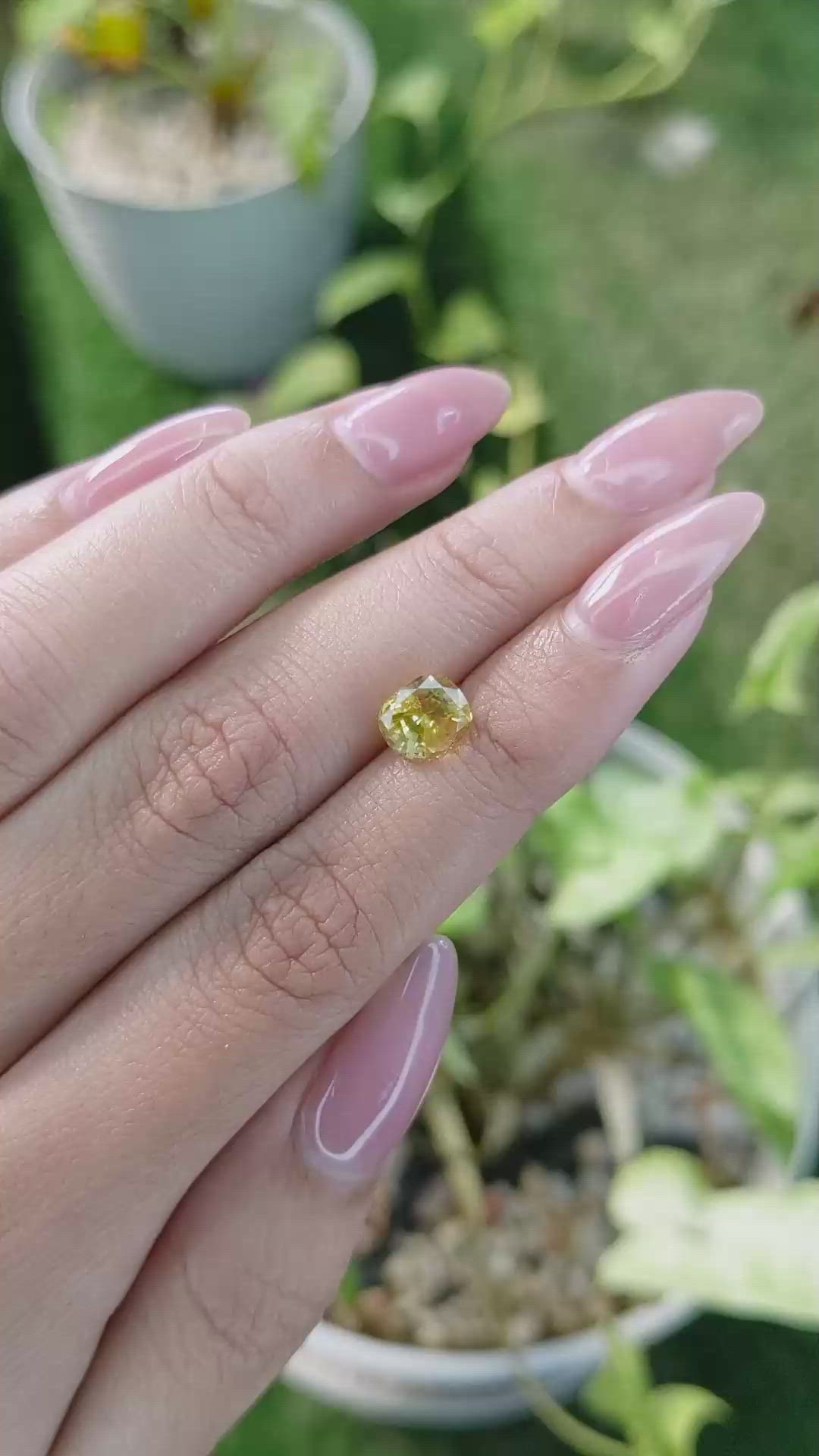 2.17 Ct. Yellow Sapphire from Ceylon (Sri Lanka) Size Video