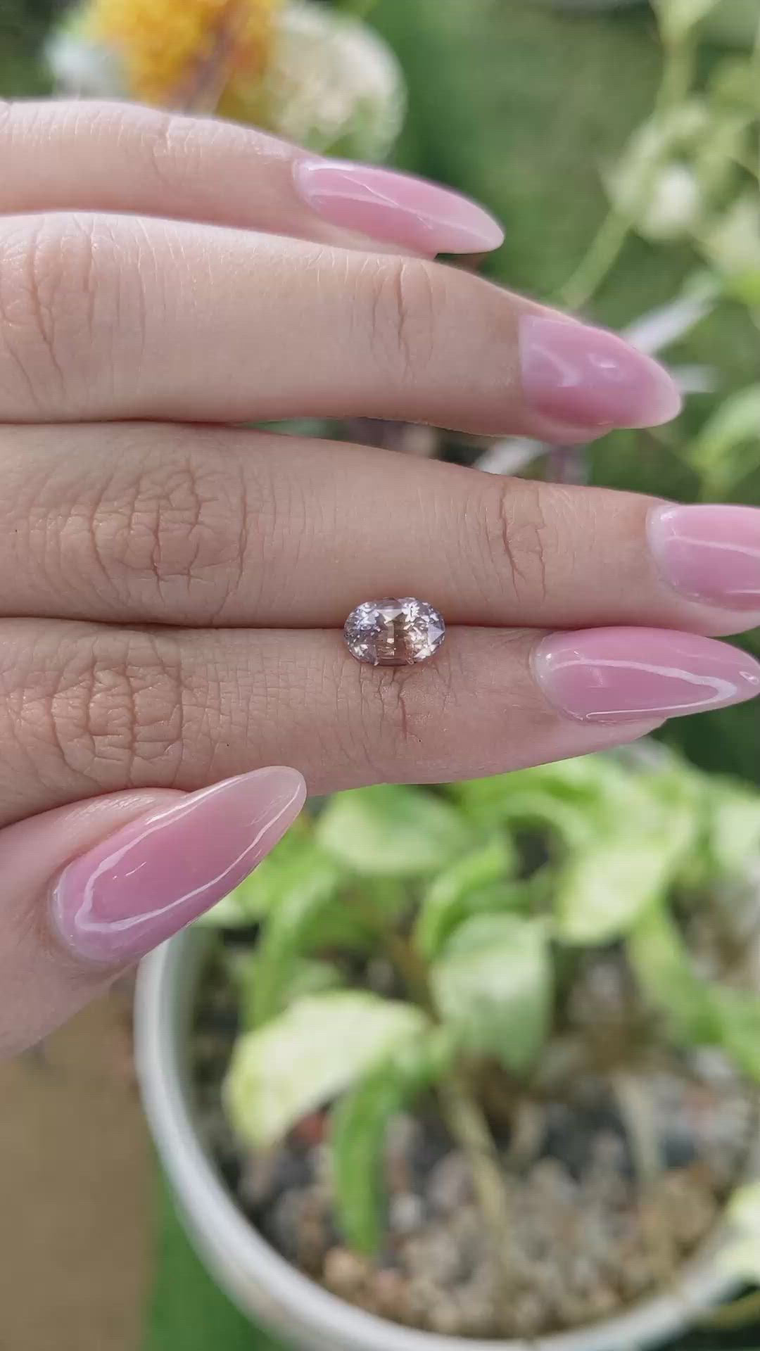 1.66 Ct. Padparadscha Sapphire from Ceylon (Sri Lanka) Size Video