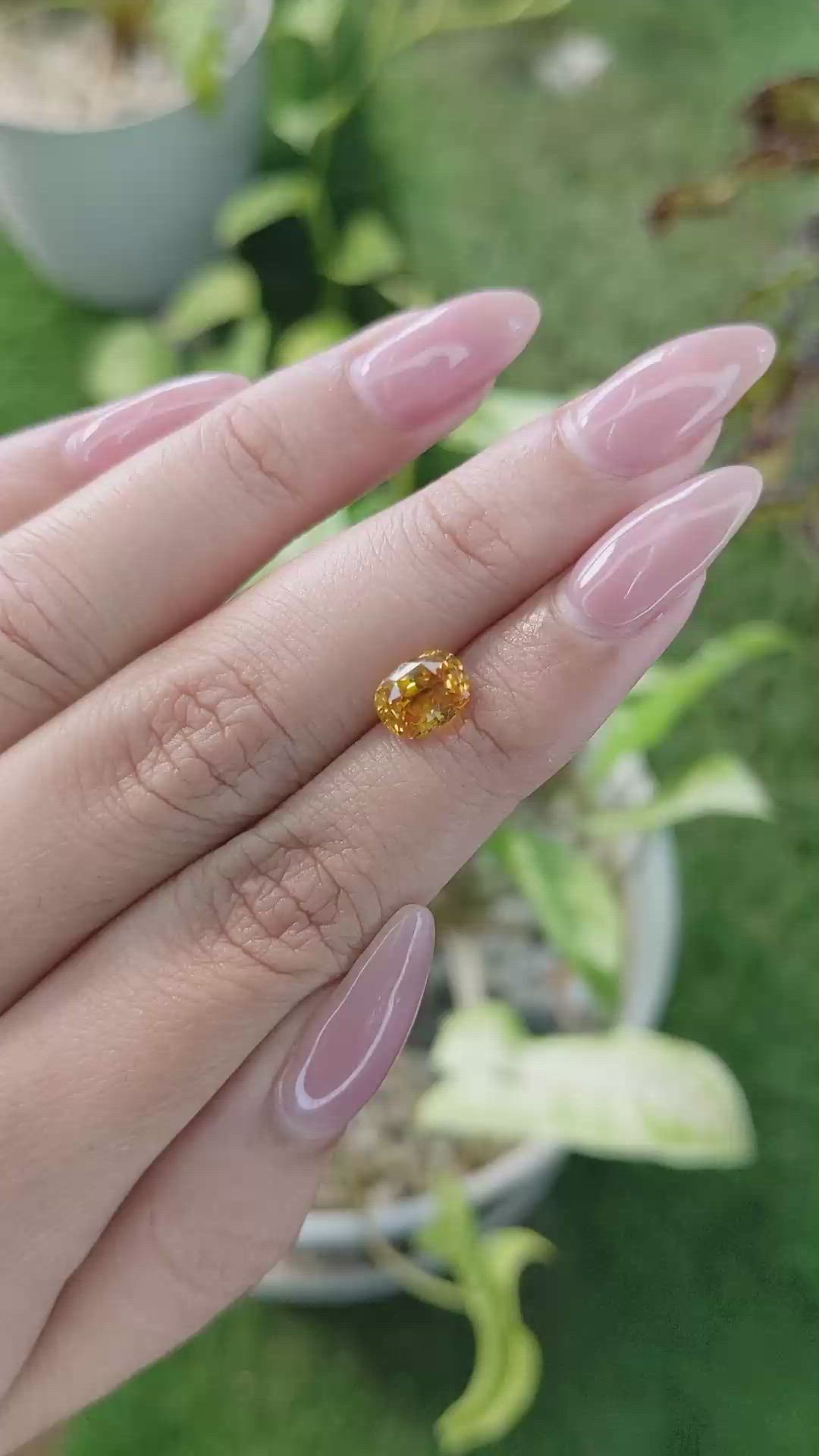 2.05 Ct. Yellowish Orange Sapphire from Ceylon (Sri Lanka) Size Video