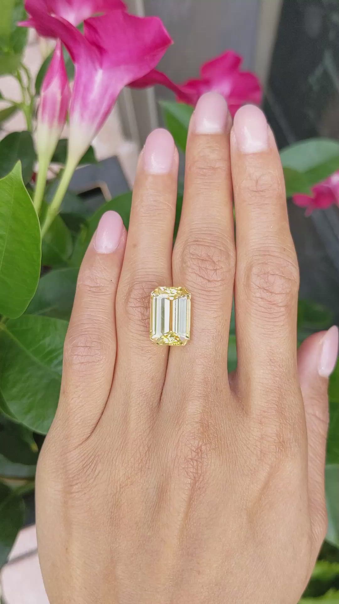 12.43 Ct. Yellow Sapphire from Ceylon (Sri Lanka) Size Video