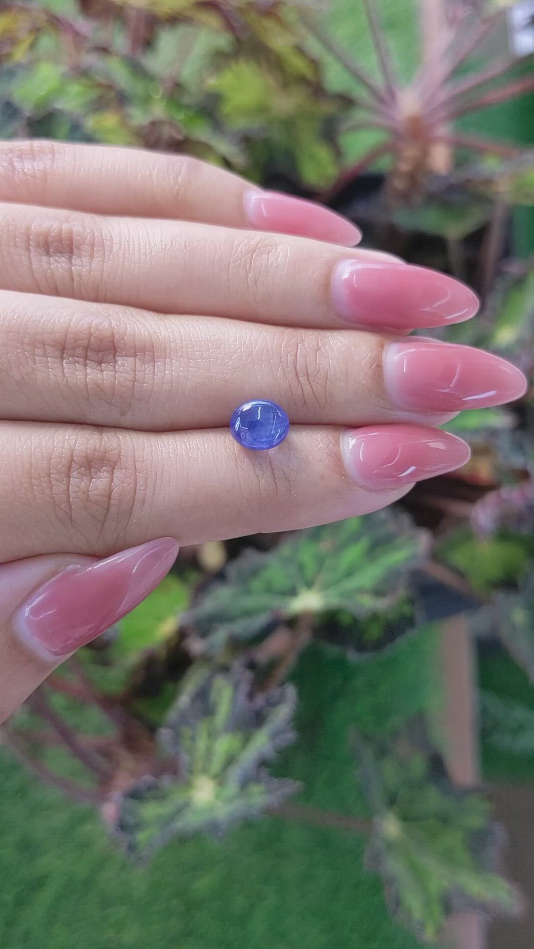 3.06 Ct. Blue Star Sapphire from Ceylon (Sri Lanka) Size Video