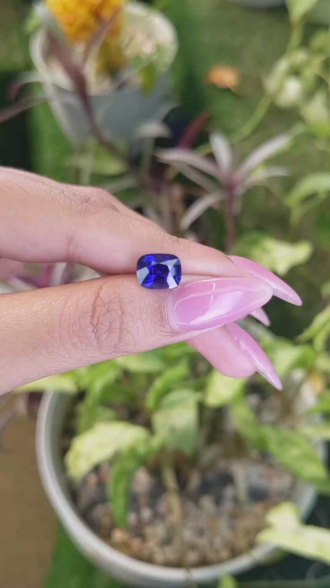 2.81 Ct. Blue Sapphire from Ceylon (Sri Lanka) Size Video