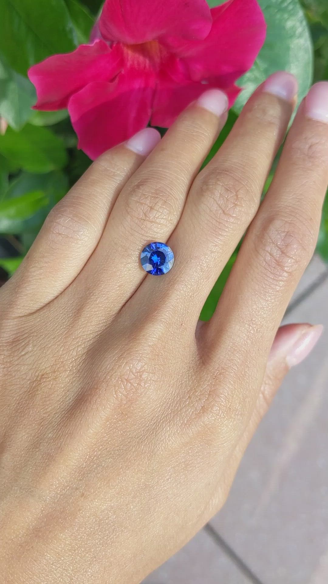 2.36 Ct. Blue Sapphire from Ceylon (Sri Lanka) Size Video