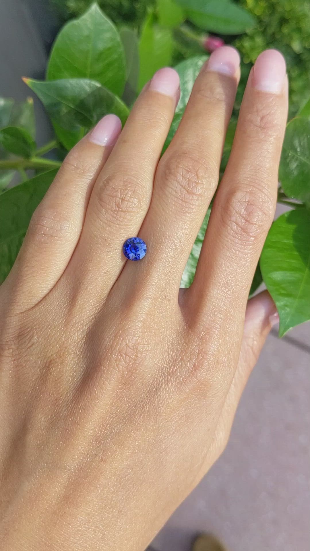 1.29 Ct. Blue Sapphire from Ceylon (Sri Lanka) Size Video