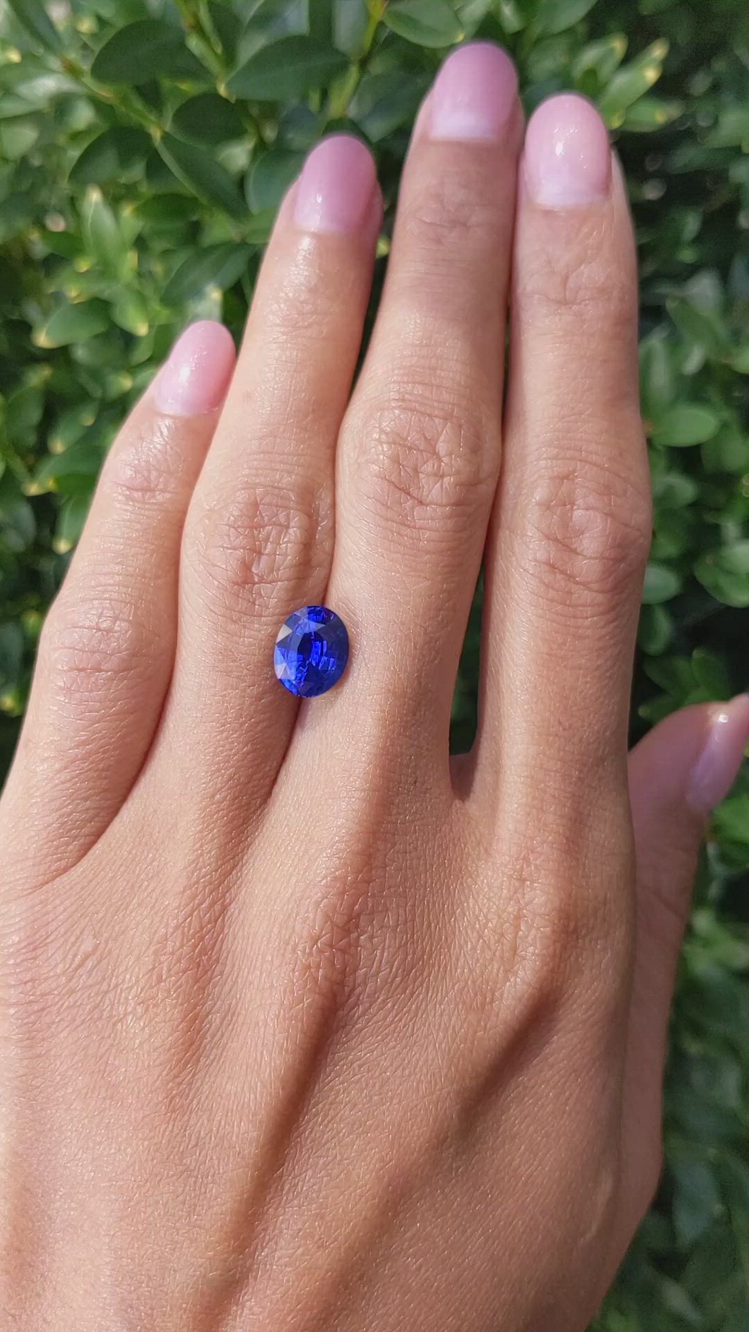 3.20 Ct. Blue Sapphire from Ceylon (Sri Lanka) Size Video