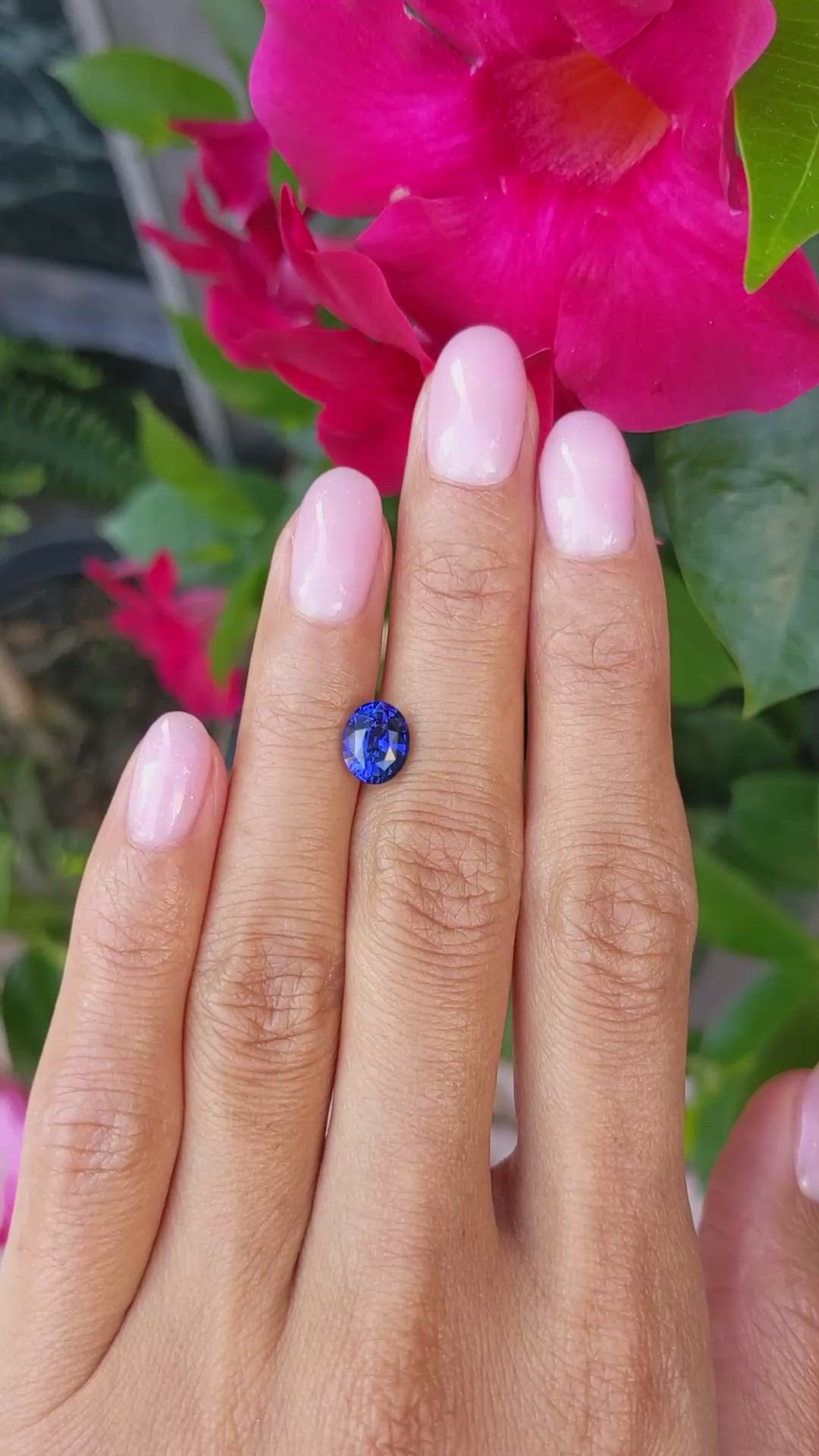 2.06 Ct. Blue Sapphire from Ceylon (Sri Lanka) Size Video