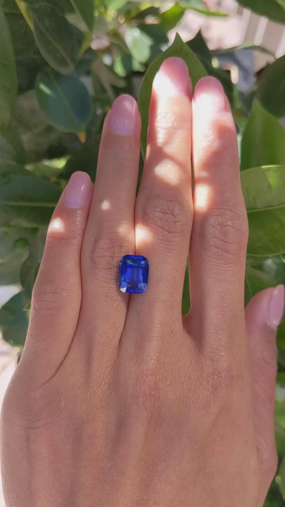 5.55 Ct. Blue Sapphire from Ceylon (Sri Lanka) Size Video