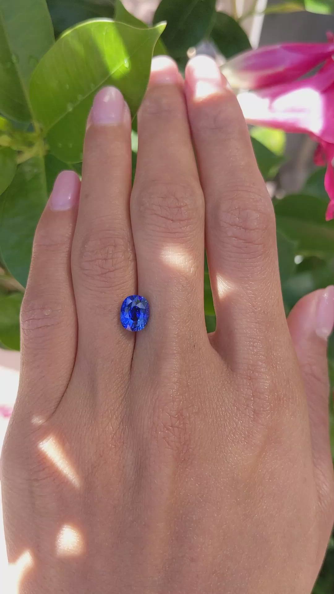 2.52 Ct. Blue Sapphire from Ceylon (Sri Lanka) Size Video