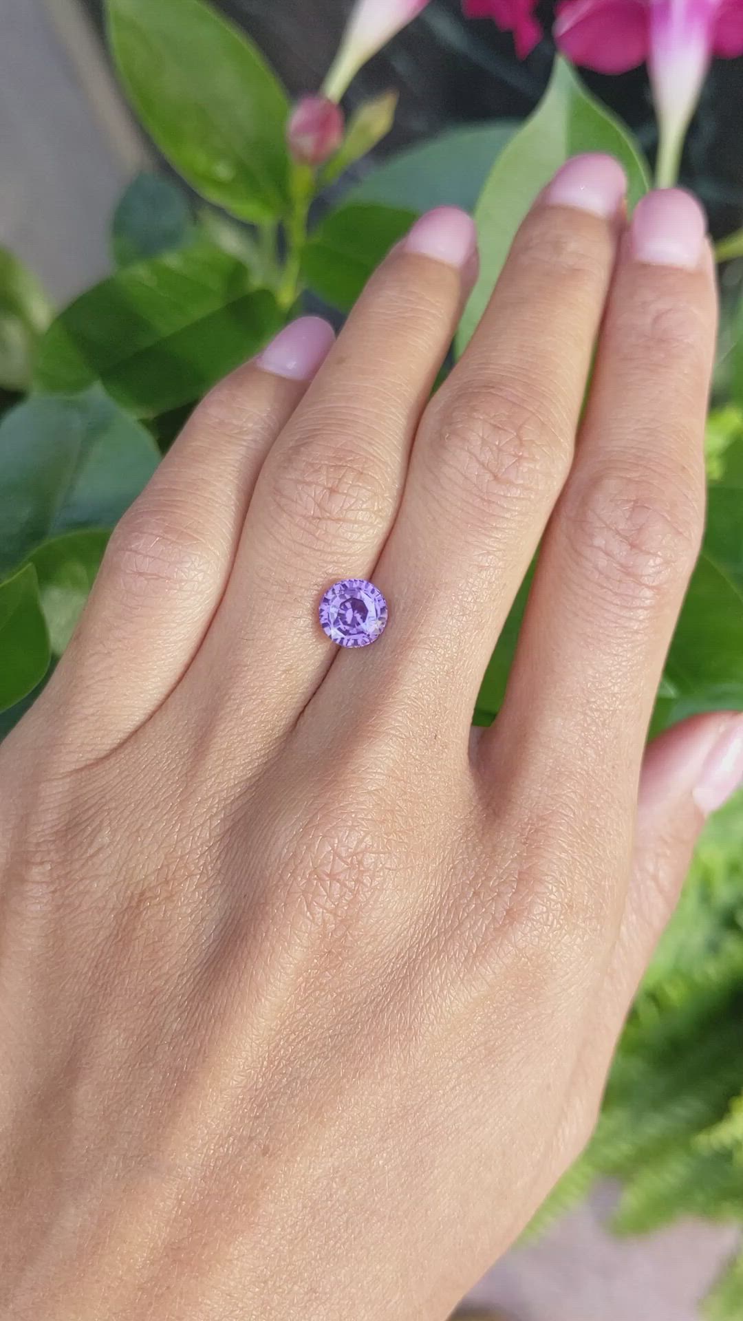 2.17 Ct. Purple Sapphire from Ceylon (Sri Lanka) Size Video