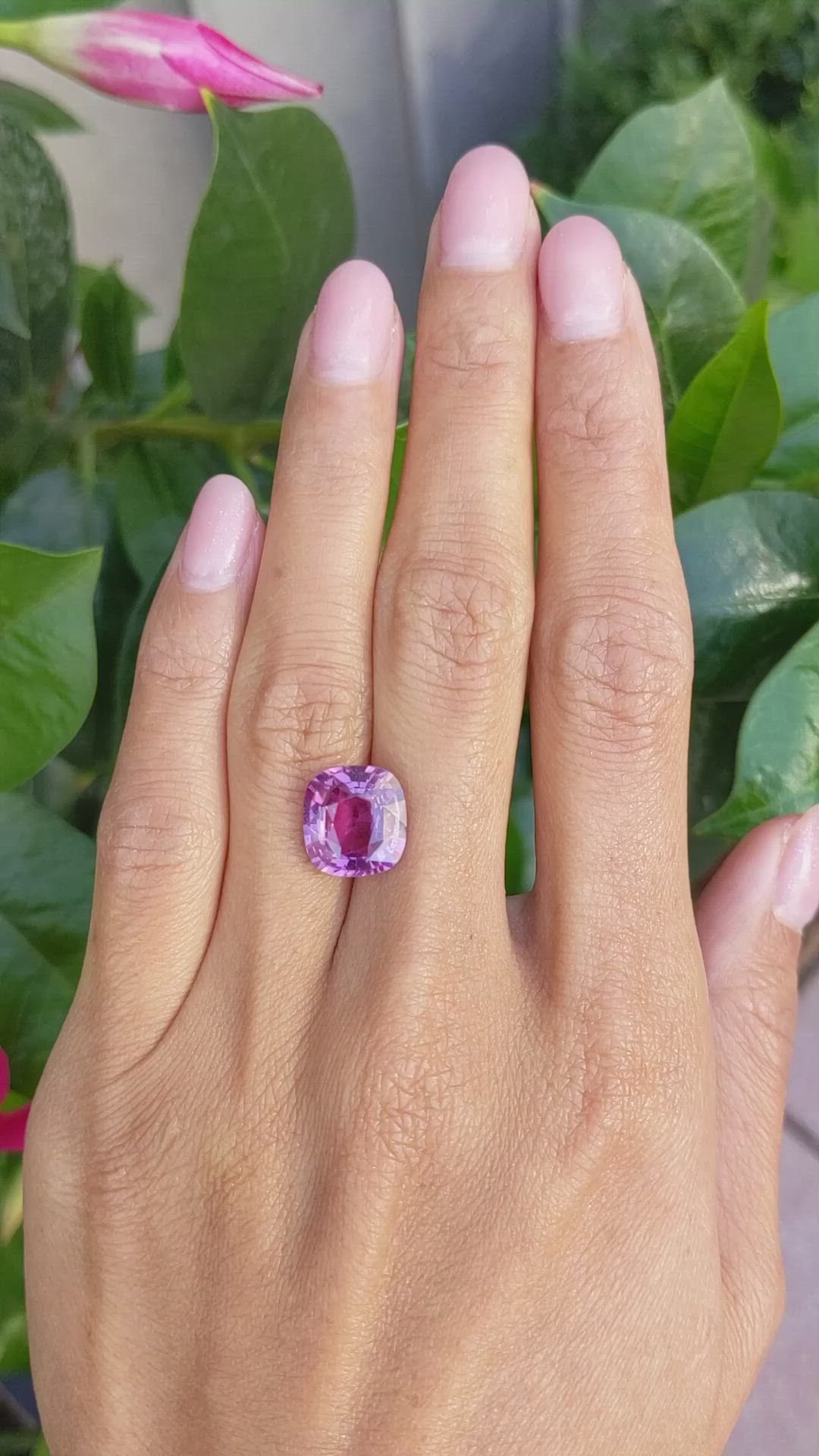 6.08 Ct. Pink Sapphire from Madagascar Size Video