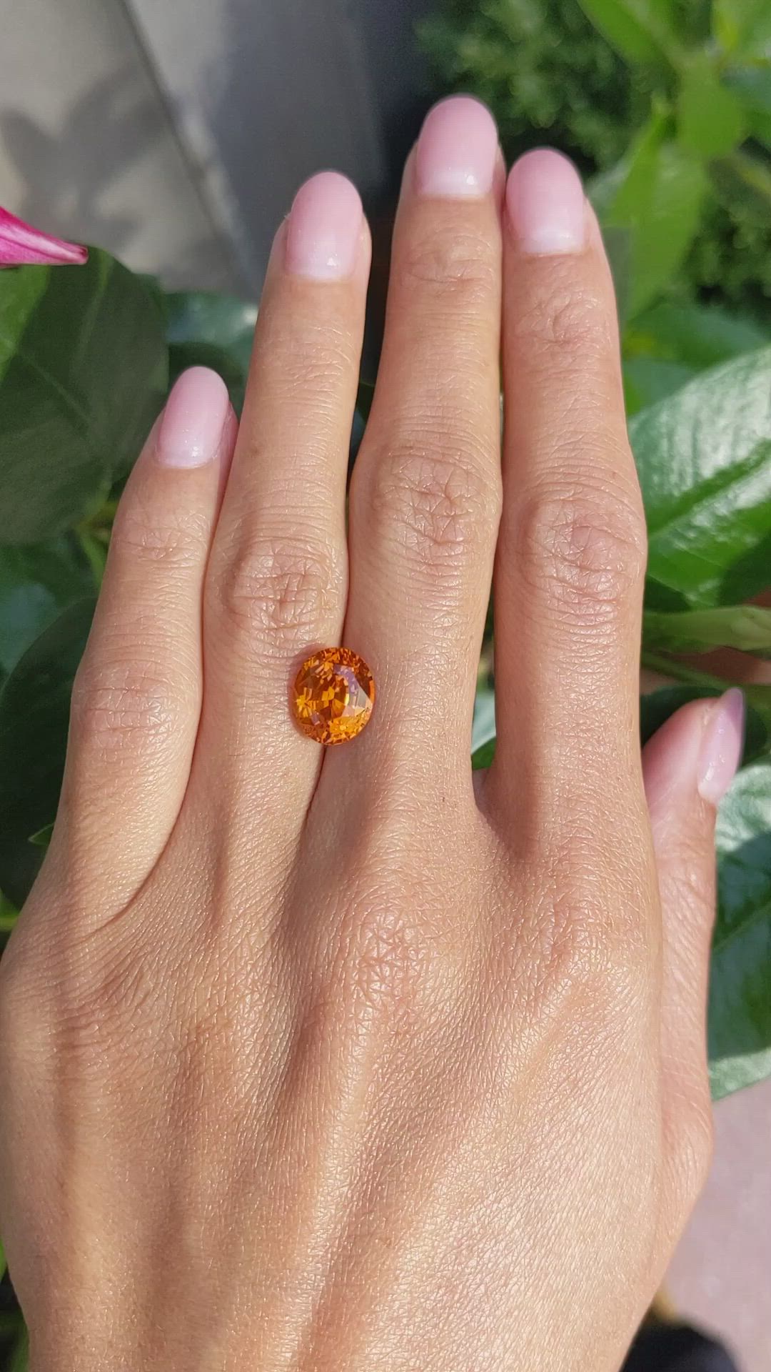 5.22 Ct. Orange Sapphire from Ceylon (Sri Lanka) Size Video