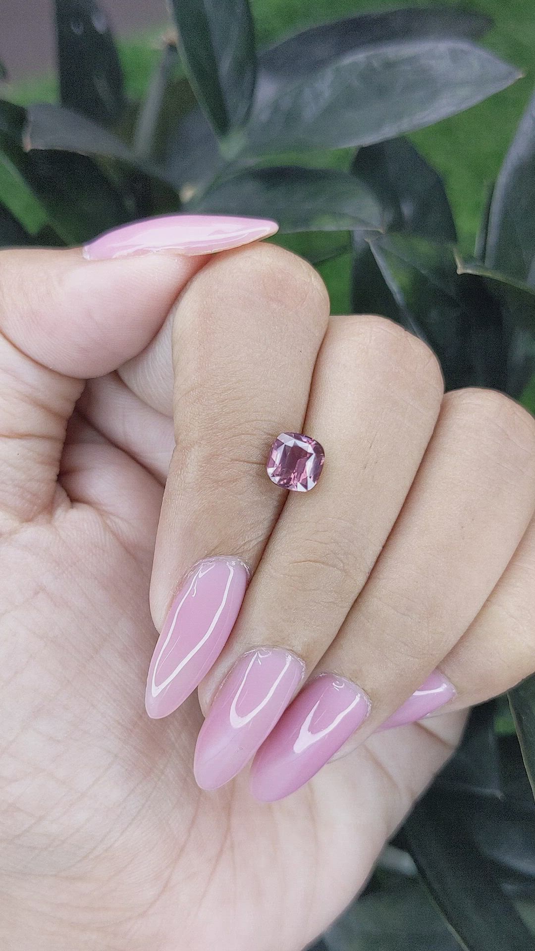 1.67 Ct. Pink Sapphire from Madagascar Size Video