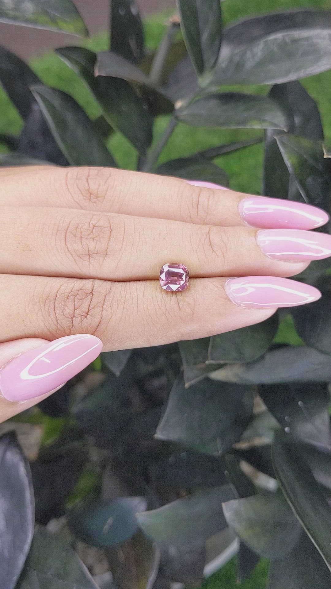 1.67 Ct. Pink Sapphire from Madagascar Size Video