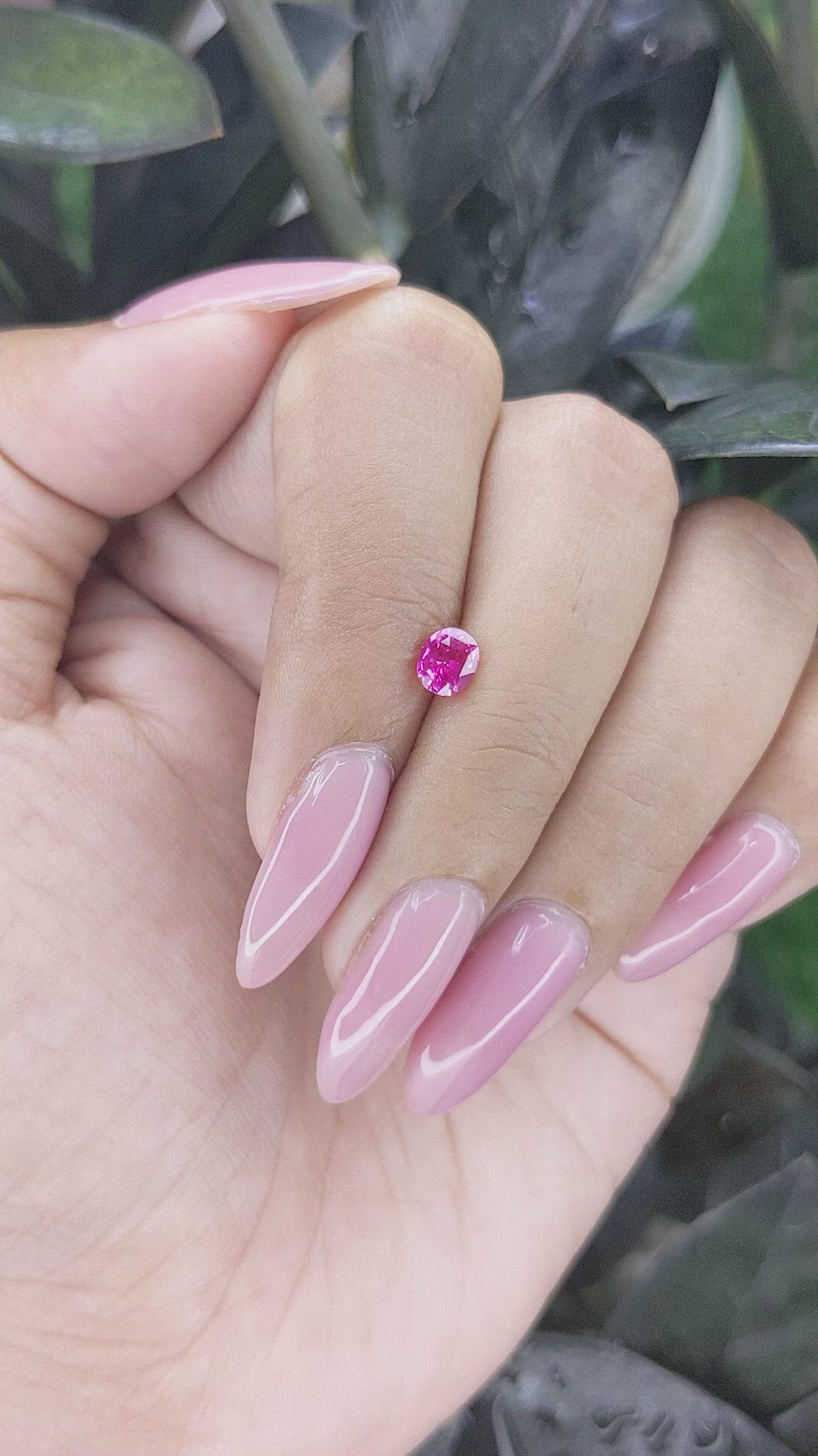 0.56 Ct. Pink Sapphire from Tanzania Size Video