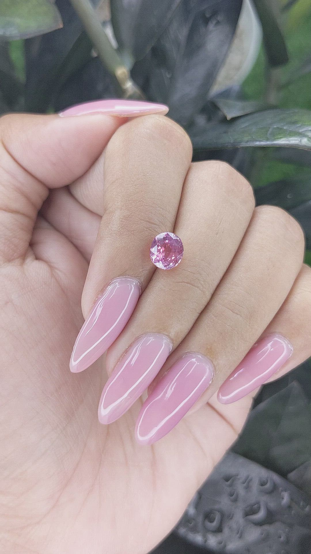 1.87 Ct. Purplish Pink Sapphire from Tanzania Size Video