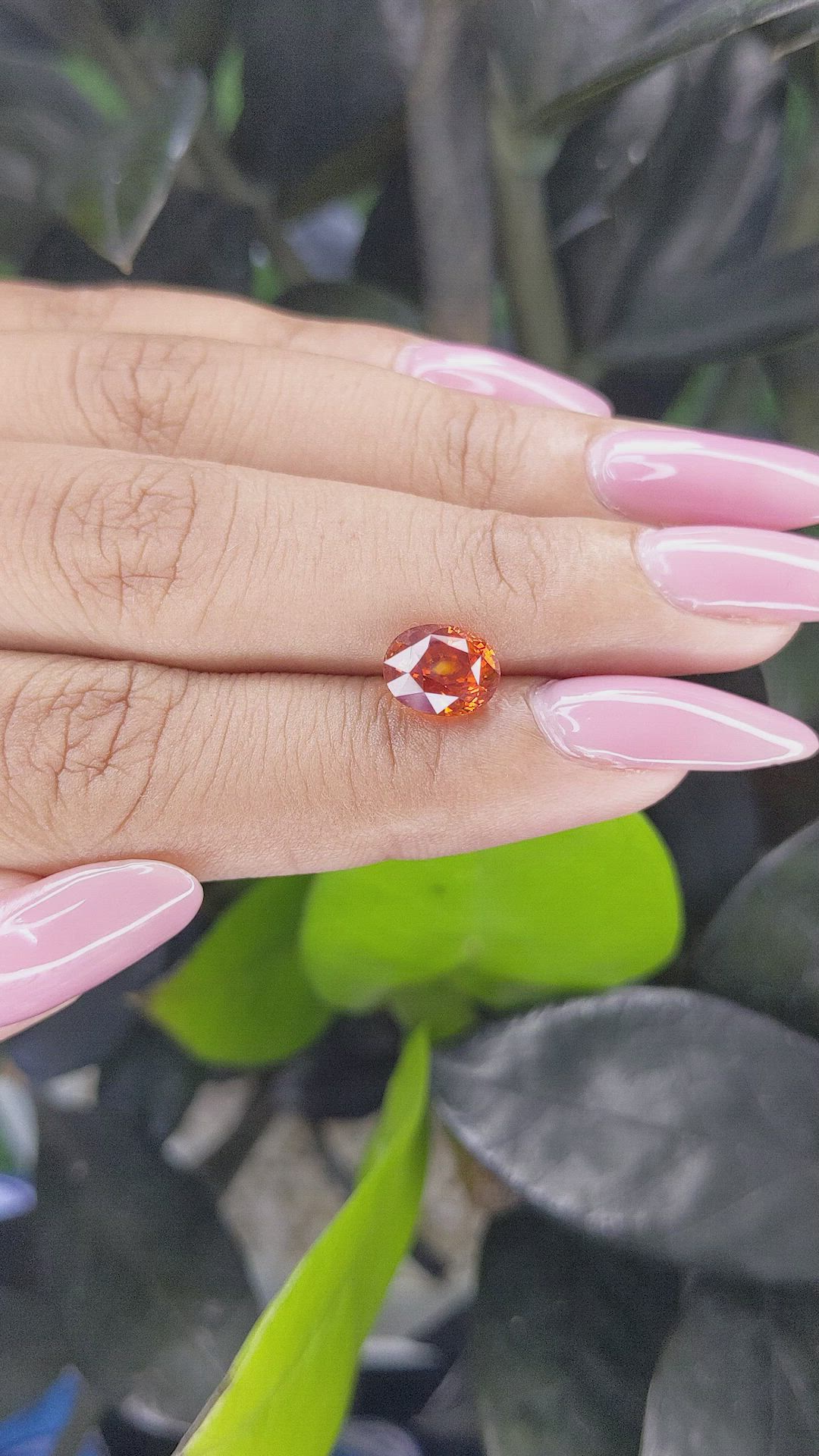 2.68 Ct. Orange Sapphire from Ceylon (Sri Lanka) Size Video