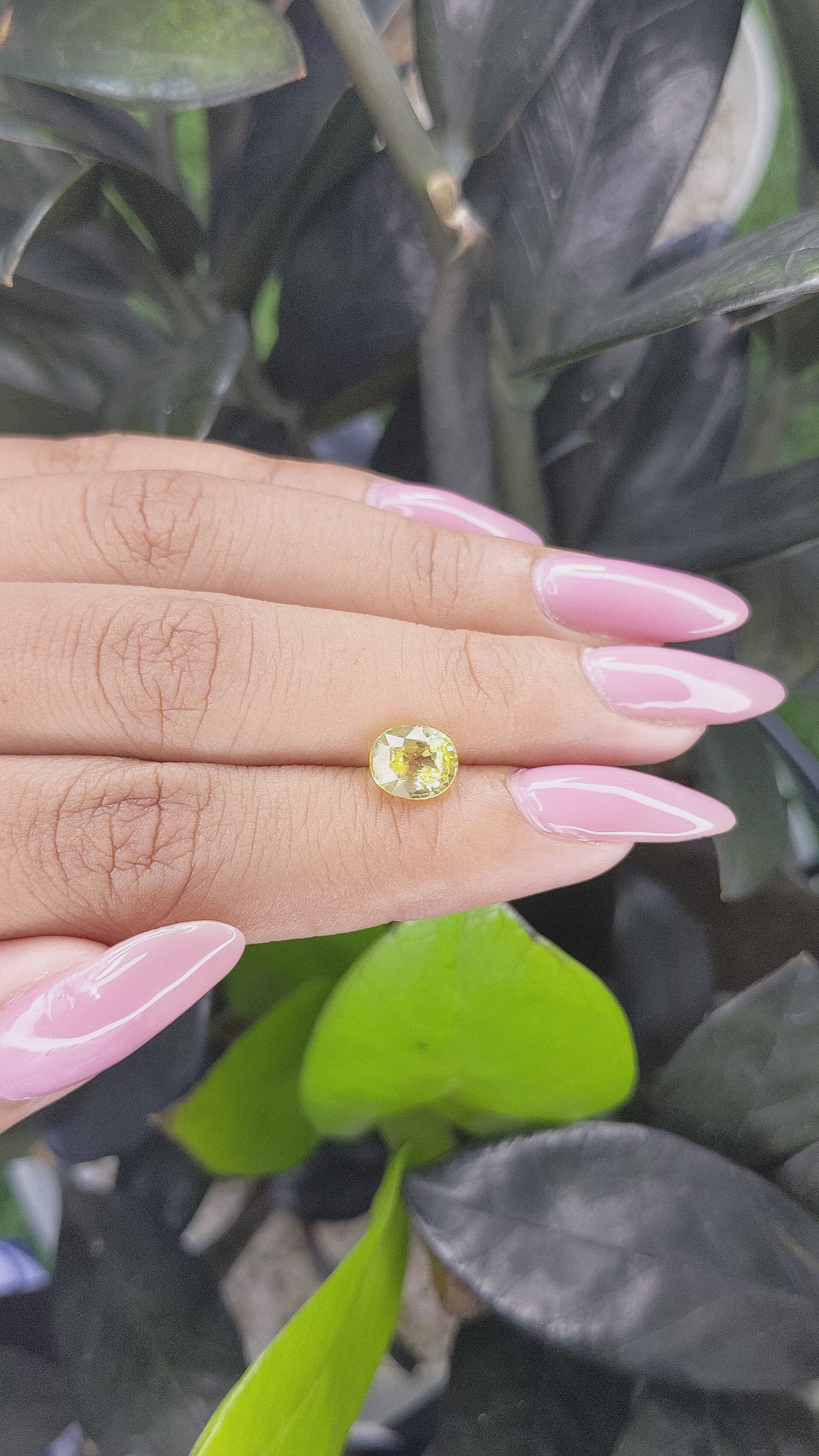 2.03 Ct. Yellow Sapphire from Ceylon (Sri Lanka) Size Video