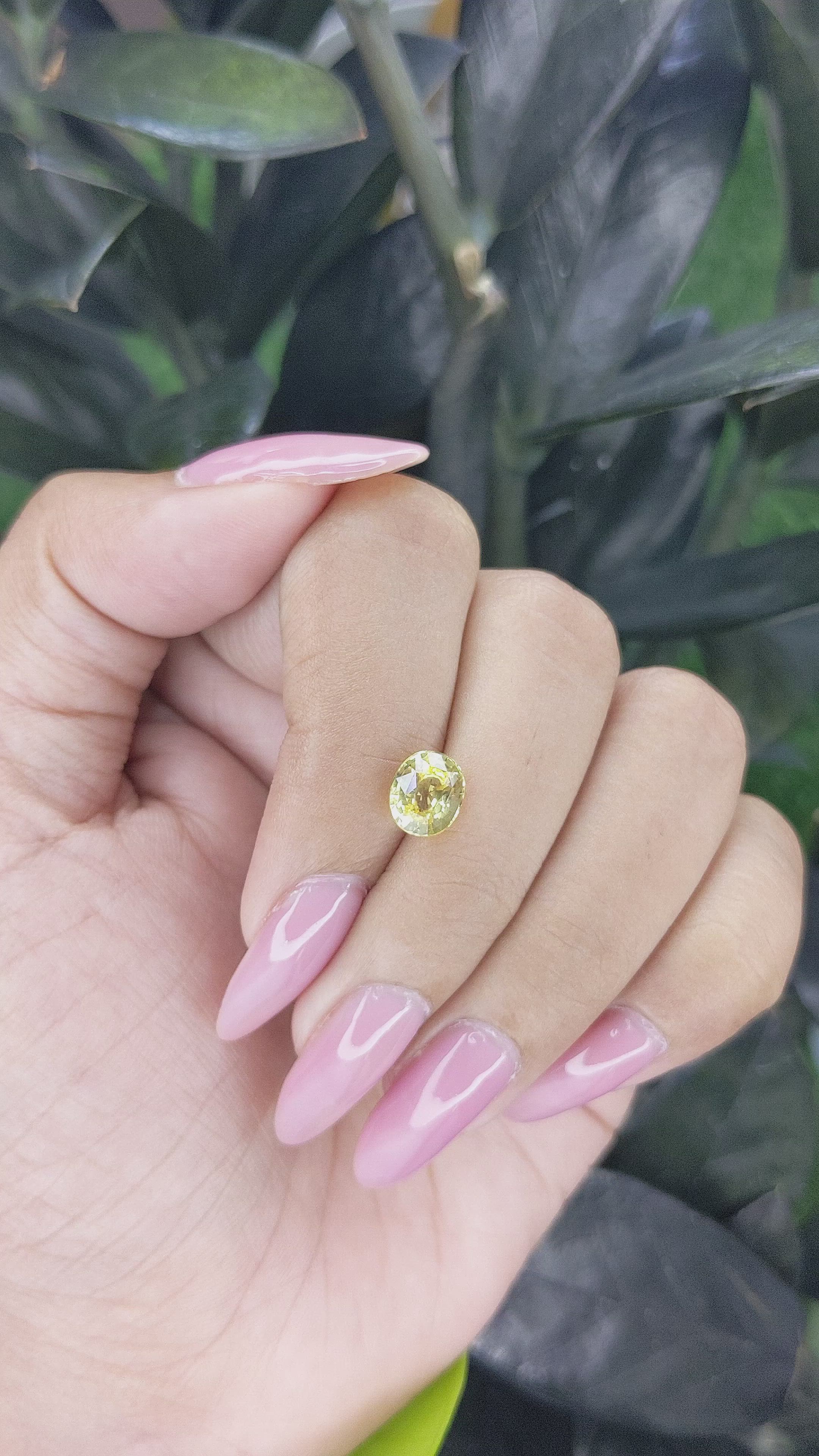 2.03 Ct. Yellow Sapphire from Ceylon (Sri Lanka) Size Video