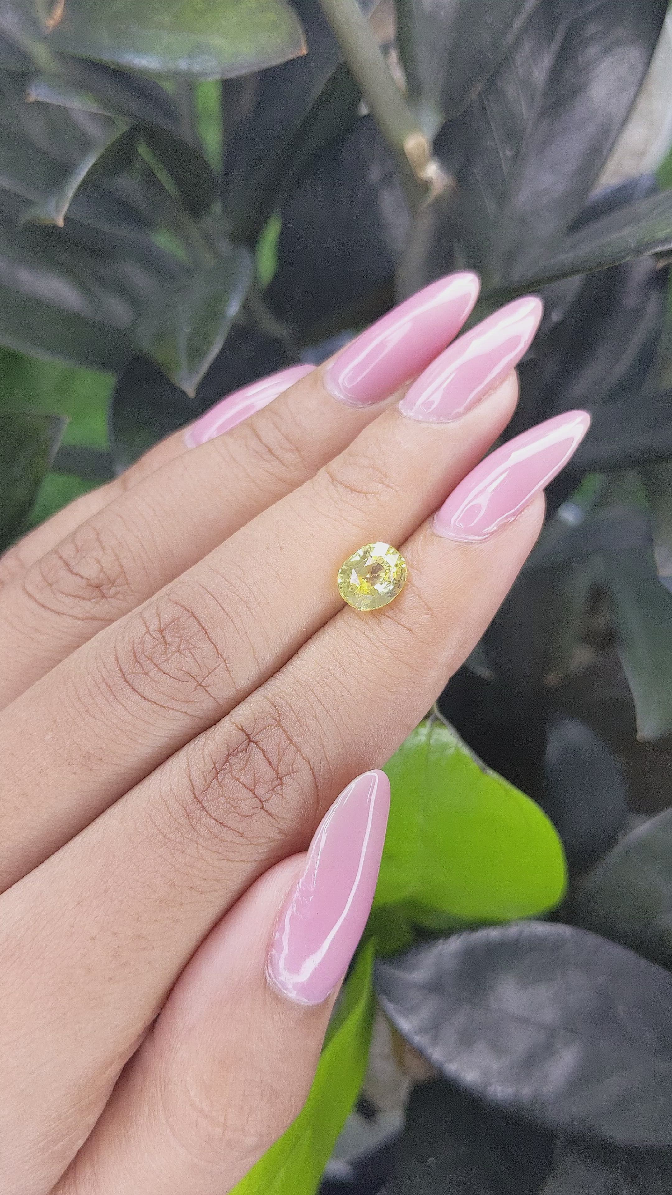 2.03 Ct. Yellow Sapphire from Ceylon (Sri Lanka) Size Video