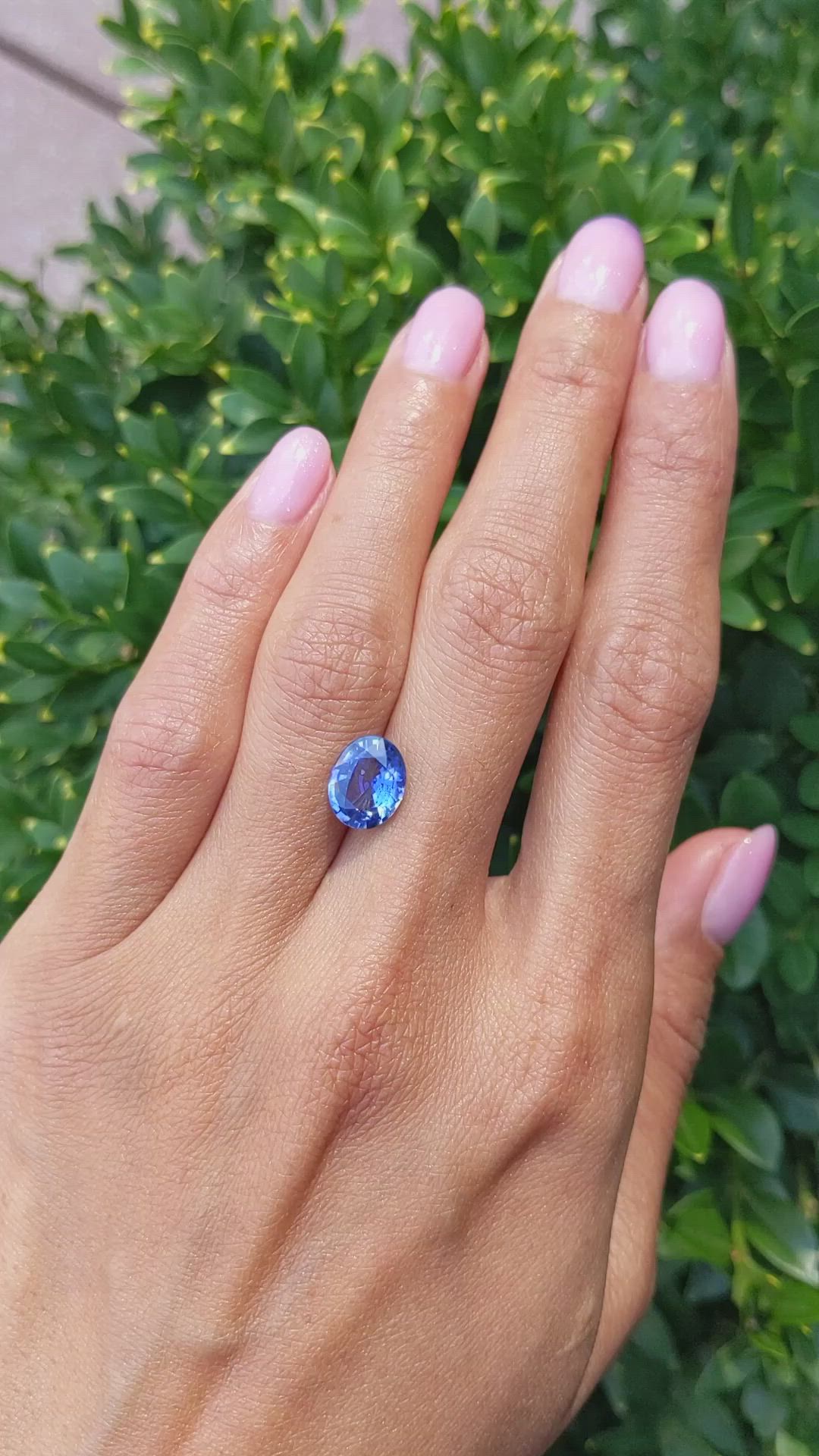 3.10 Ct. Blue Sapphire from Ceylon (Sri Lanka) Size Video