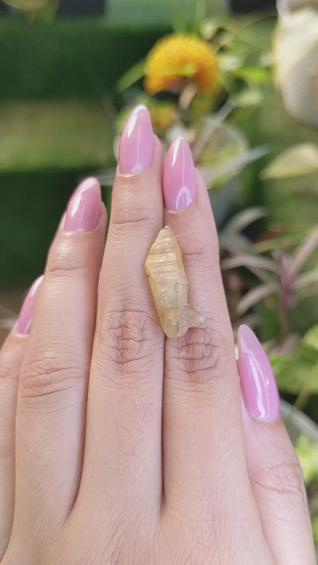 13.84 Ct. Yellow Sapphire Crystal from Ceylon (Sri Lanka) Size Video