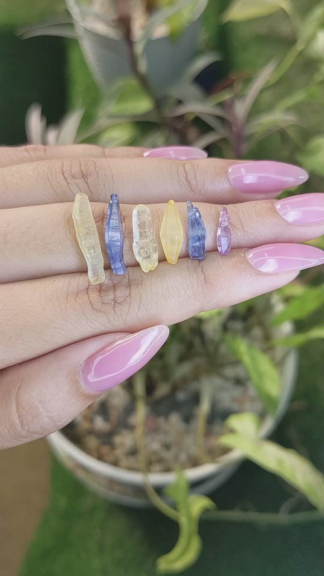 16.14 Ct. Multi Color Rough Sapphire from Ceylon (Sri Lanka) Size Video