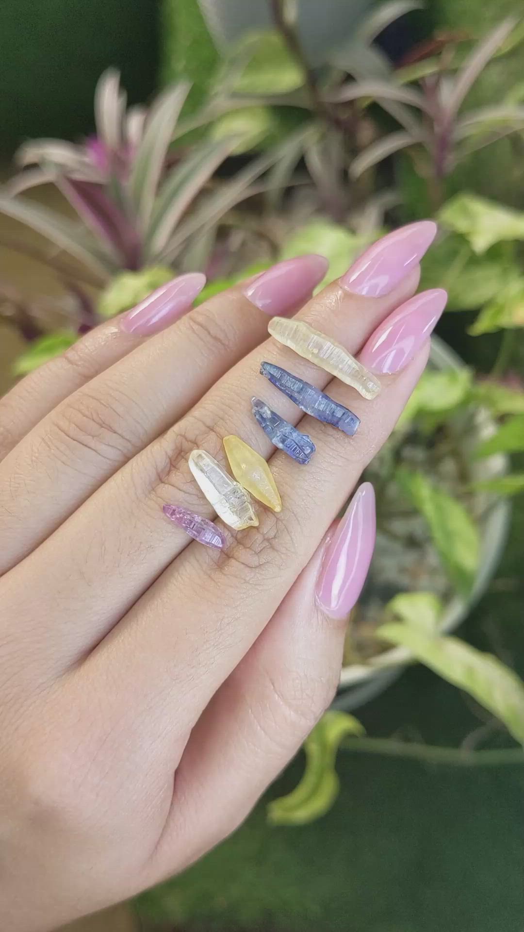 16.14 Ct. Multi Color Rough Sapphire from Ceylon (Sri Lanka) Size Video