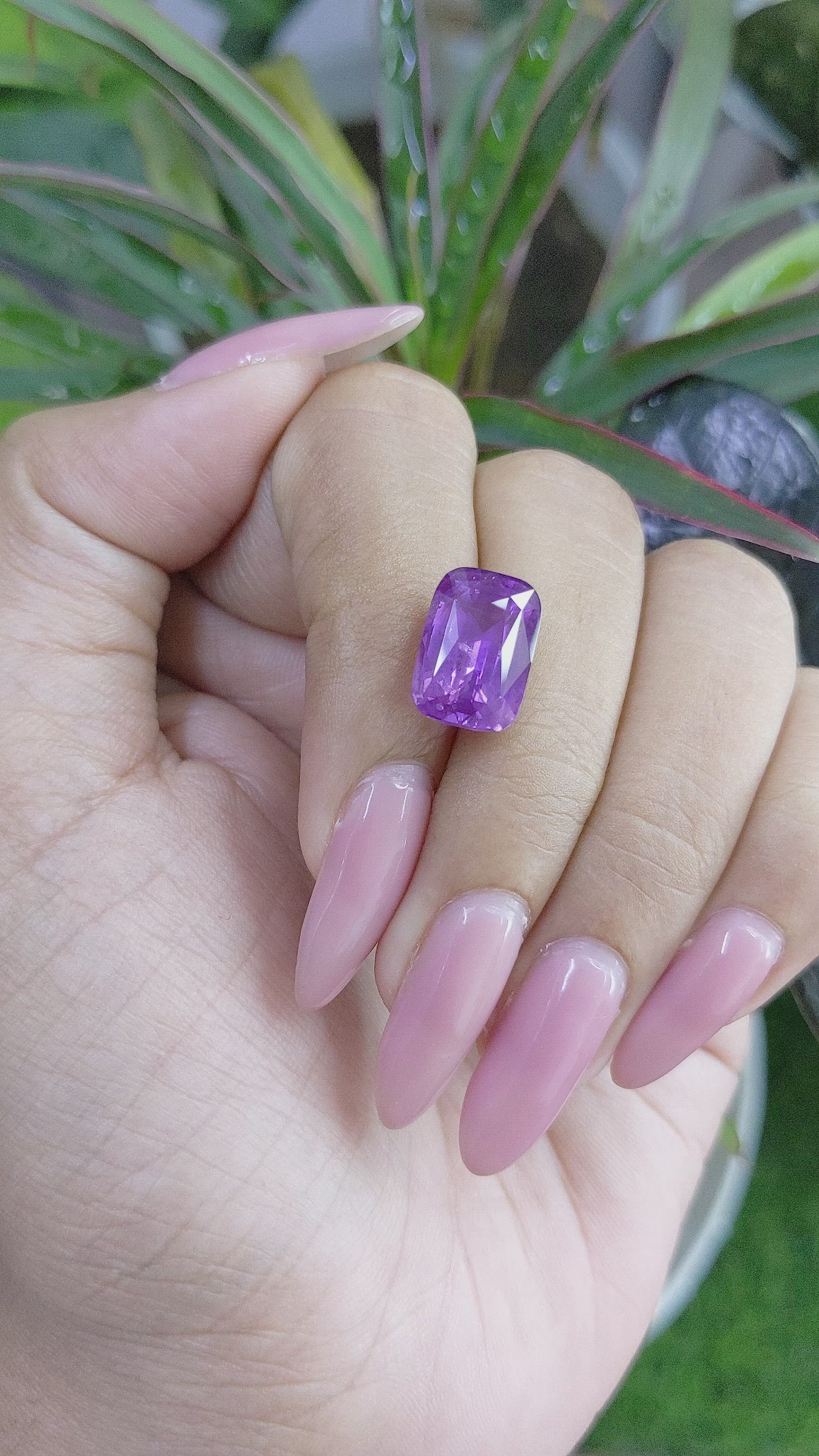 8.17 Ct. Purple Sapphire from Ceylon (Sri Lanka) Size Video