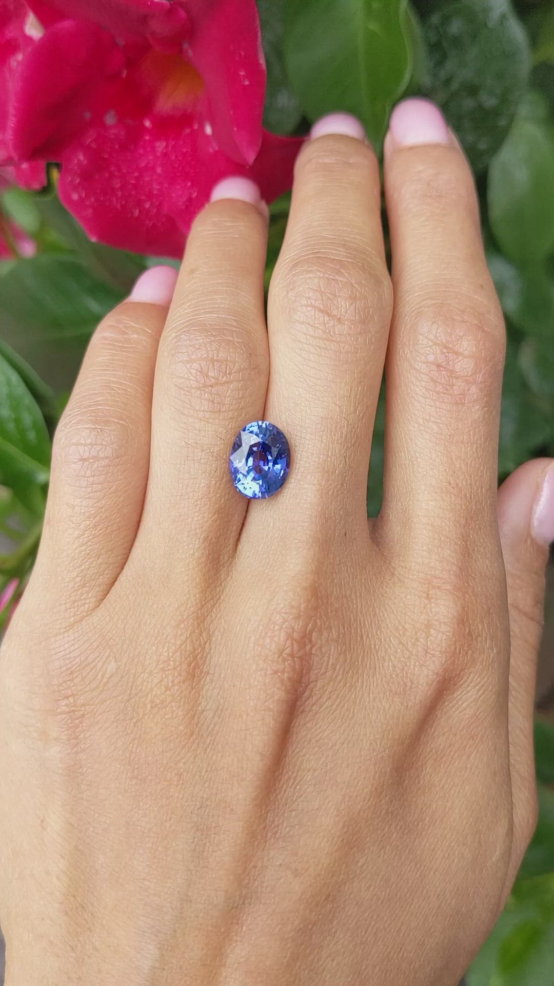 4.11 Ct. Blue Sapphire from Ceylon (Sri Lanka) Size Video