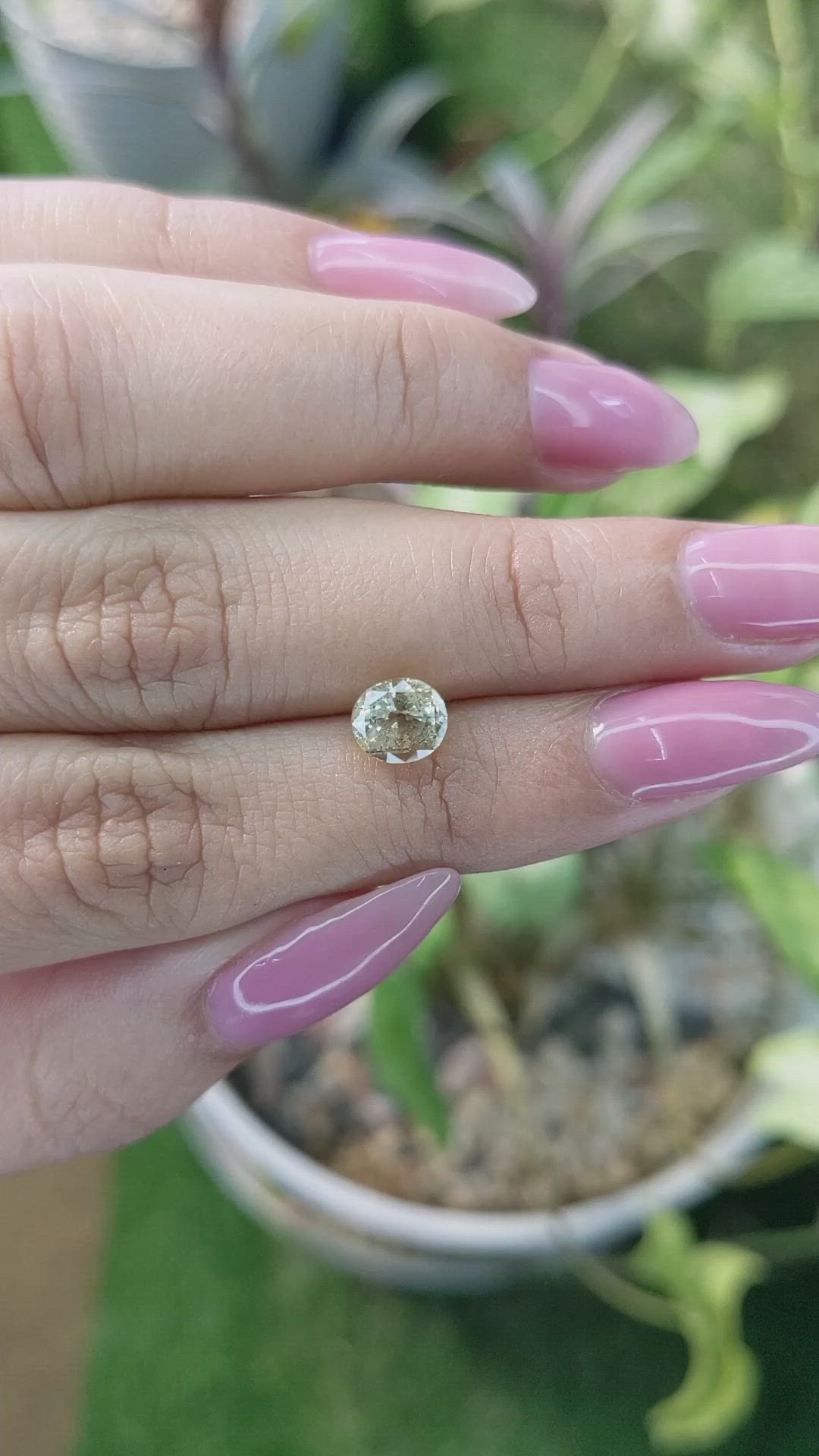 1.72 Ct. Yellow Sapphire from Ceylon (Sri Lanka) Size Video