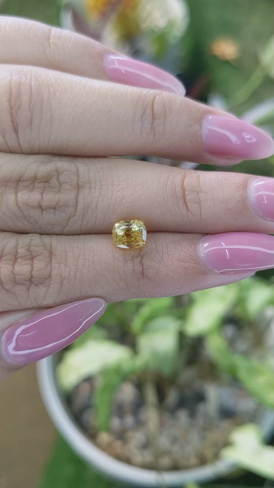 1.76 Ct. Orangish Yellow Sapphire from Ceylon (Sri Lanka) Size Video