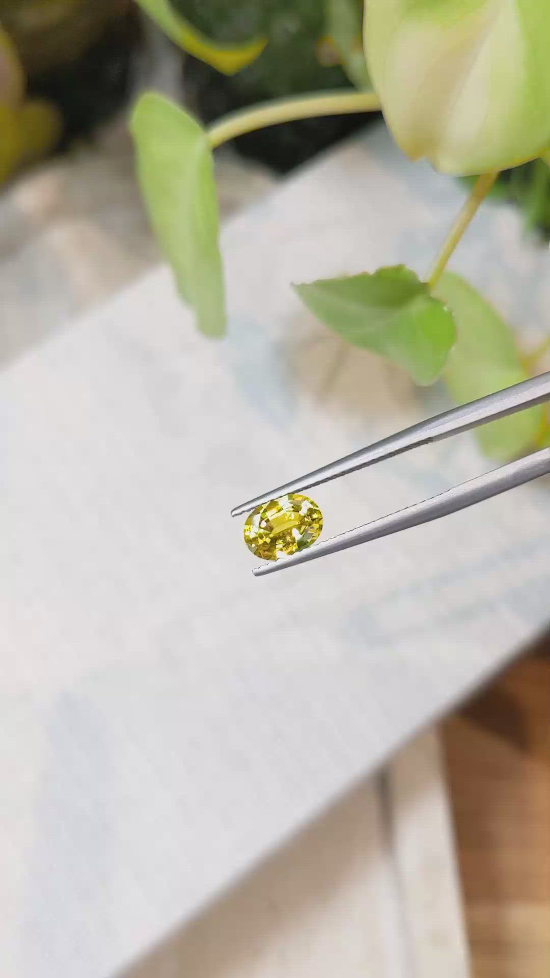 1.43 Ct. Yellow Sapphire from Ceylon (Sri Lanka) Size Video