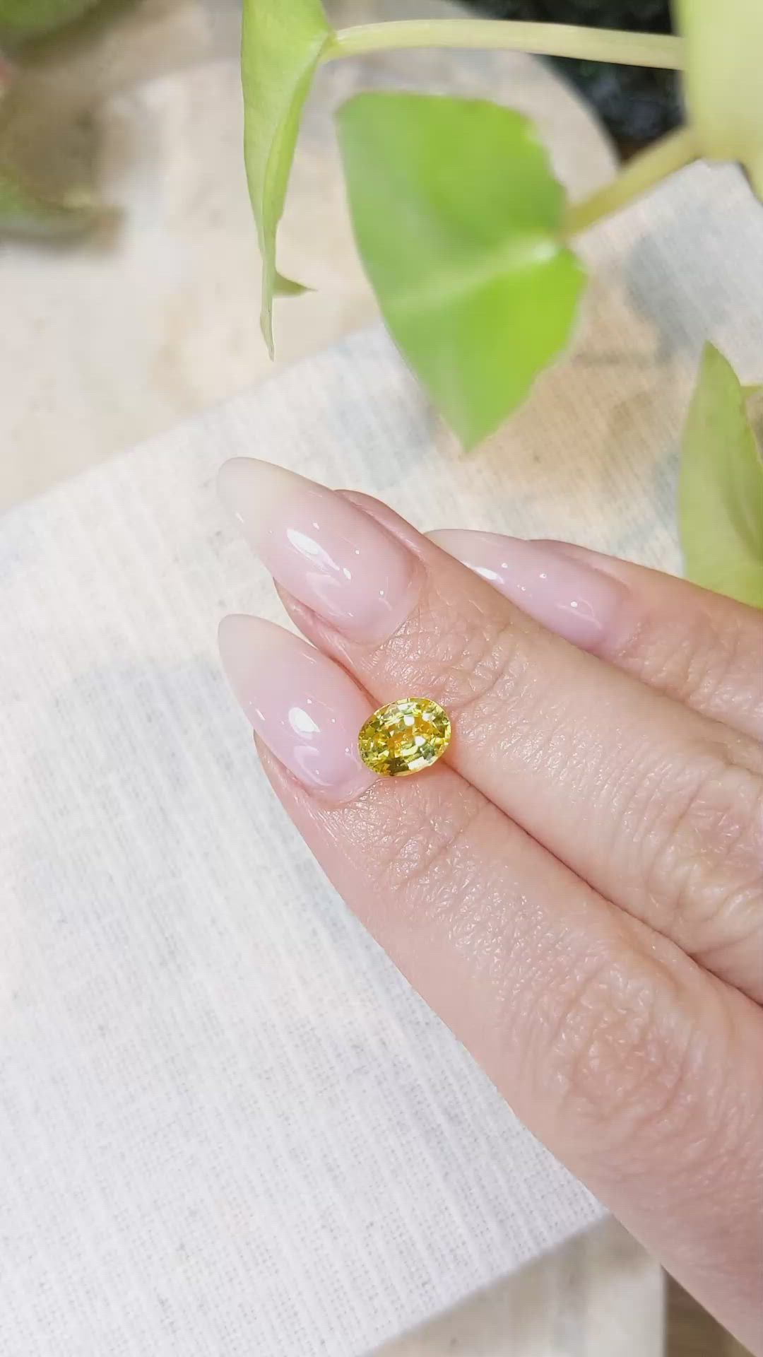 1.57 Ct. Yellow Sapphire from Ceylon (Sri Lanka) Size Video