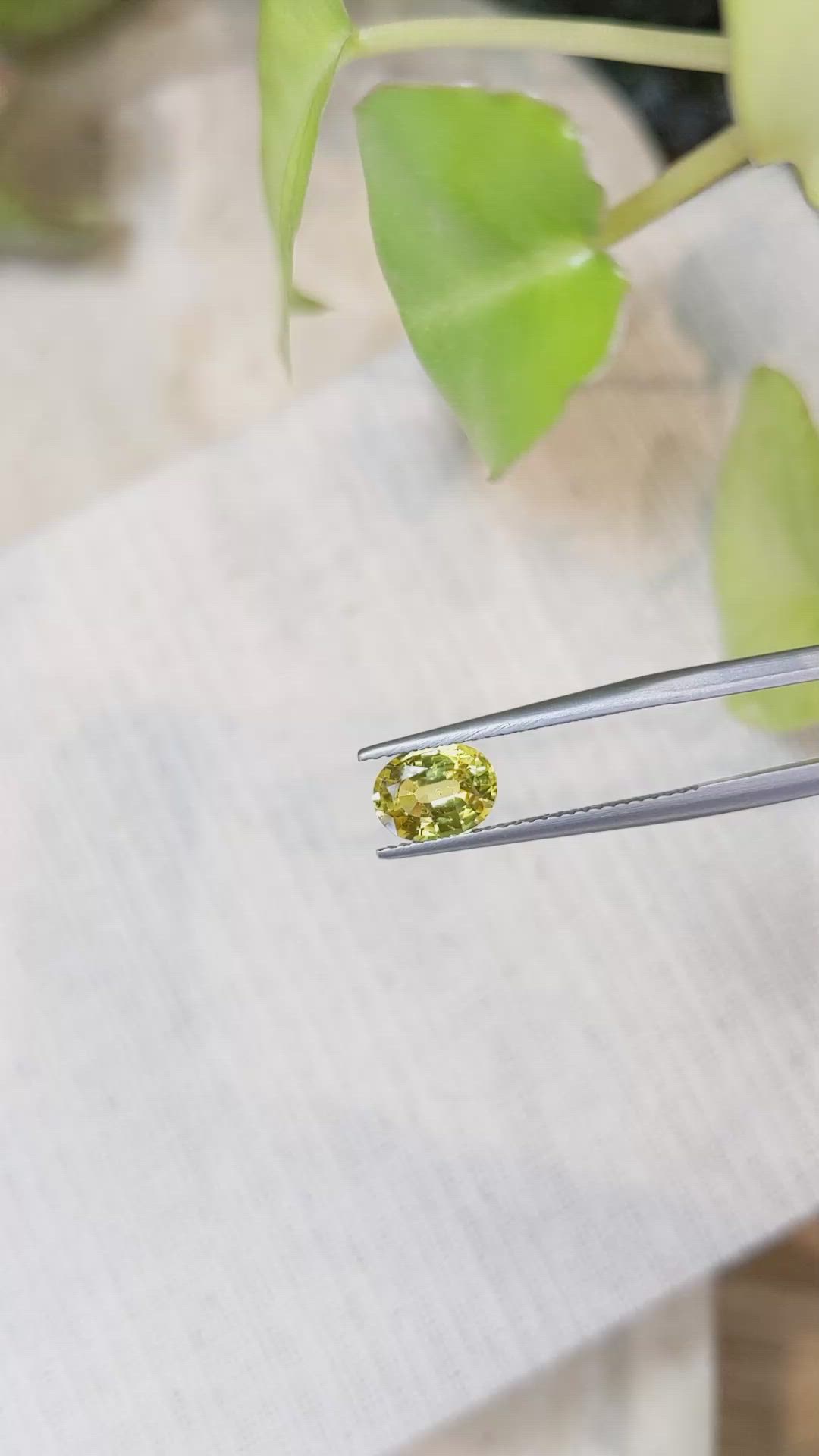1.57 Ct. Yellow Sapphire from Ceylon (Sri Lanka) Size Video