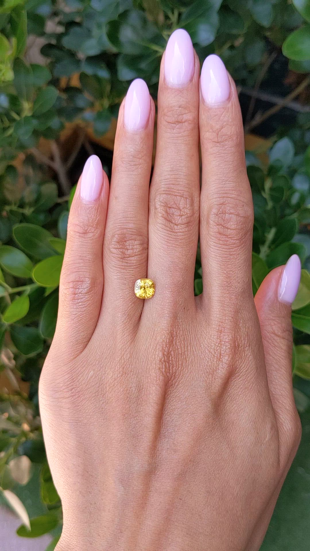 1.60 Ct. Yellow Sapphire from Ceylon (Sri Lanka) Size Video